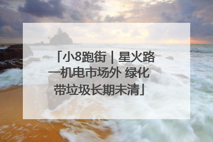 小8跑街｜星火路一机电市场外 绿化带垃圾长期未清