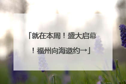就在本周！盛大启幕！福州向海邀约→