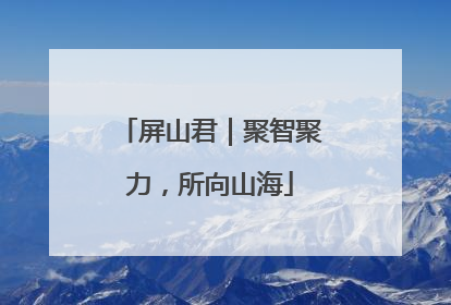 屏山君｜聚智聚力，所向山海