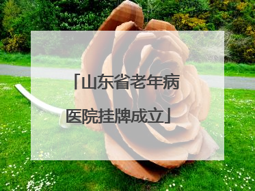 山东省老年病医院挂牌成立