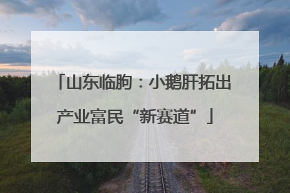 山东临朐：小鹅肝拓出产业富民“新赛道”