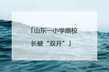 山东一小学原校长被“双开”