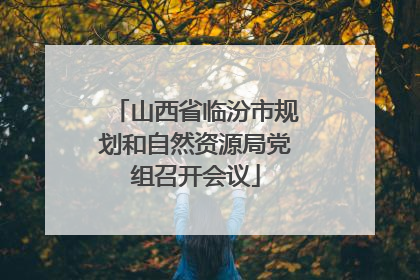 山西省临汾市规划和自然资源局党组召开会议