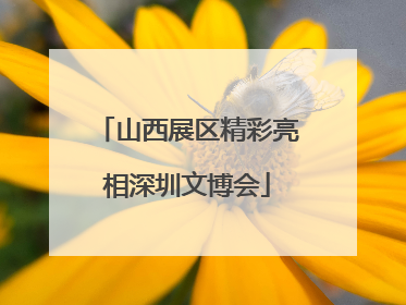 山西展区精彩亮相深圳文博会