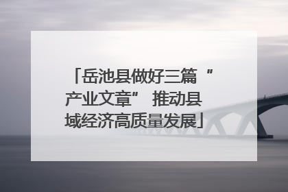岳池县做好三篇“产业文章” 推动县域经济高质量发展