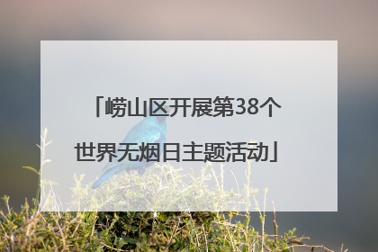 崂山区开展第38个世界无烟日主题活动