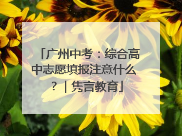 广州中考：综合高中志愿填报注意什么？｜隽言教育