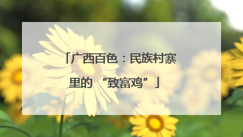 广西百色：民族村寨里的 “致富鸡”
