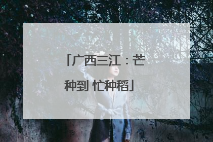 广西三江：芒种到 忙种稻