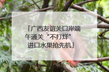 广西友谊关口岸端午通关“不打烊” 进口水果抢先机