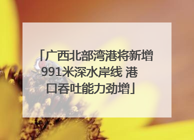 广西北部湾港将新增991米深水岸线 港口吞吐能力劲增