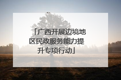 广西开展边境地区民政服务能力提升专项行动