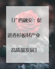 广西融安：促进香杉板材产业高质量发展