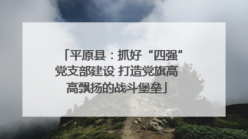平原县：抓好“四强”党支部建设 打造党旗高高飘扬的战斗堡垒
