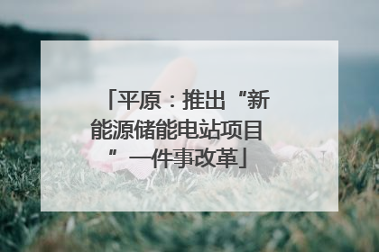 平原：推出“新能源储能电站项目”一件事改革