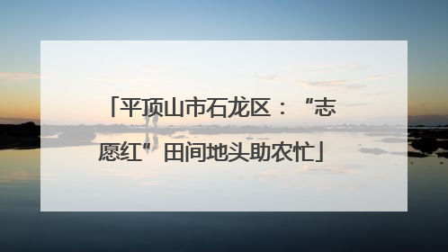 平顶山市石龙区：“志愿红”田间地头助农忙