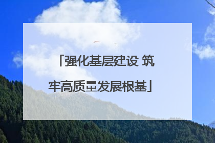 强化基层建设 筑牢高质量发展根基
