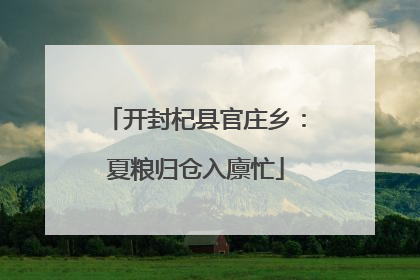 开封杞县官庄乡：夏粮归仓入廪忙
