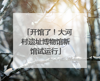开馆了！大河村遗址博物馆新馆试运行