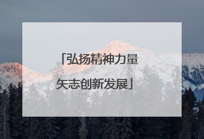 弘扬精神力量 矢志创新发展