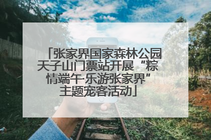 张家界国家森林公园天子山门票站开展“粽情端午·乐游张家界”主题宠客活动