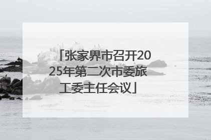 张家界市召开2025年第二次市委旅工委主任会议