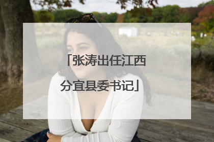 张涛出任江西分宜县委书记