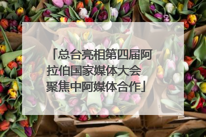 总台亮相第四届阿拉伯国家媒体大会 聚焦中阿媒体合作