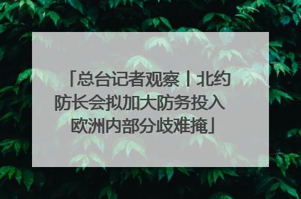 总台记者观察丨北约防长会拟加大防务投入 欧洲内部分歧难掩