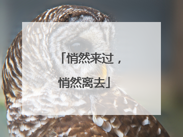 悄然来过，悄然离去