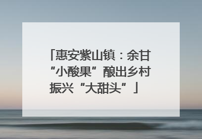 惠安紫山镇：余甘“小酸果”酿出乡村振兴“大甜头”