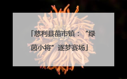慈利县苗市镇：“绿茵小将”逐梦赛场