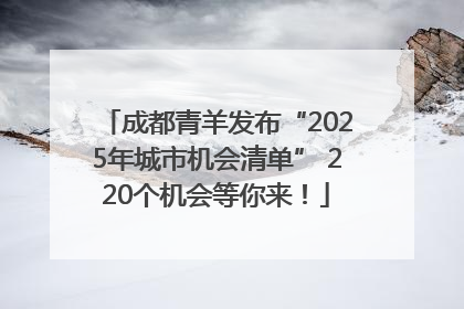 成都青羊发布“2025年城市机会清单” 220个机会等你来！
