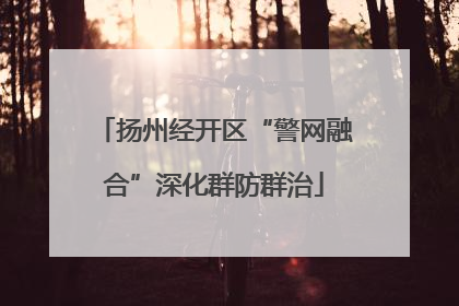 扬州经开区“警网融合”深化群防群治