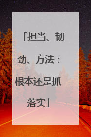 担当、韧劲、方法：根本还是抓落实