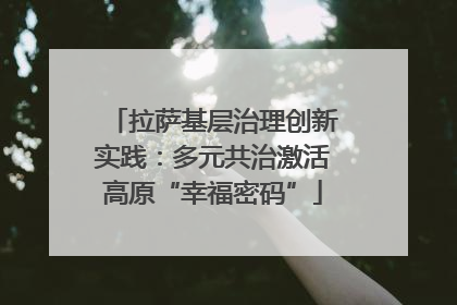 拉萨基层治理创新实践：多元共治激活高原“幸福密码”