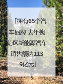 拥有65个汽车品牌 去年槐荫区新能源汽车销售额达113.9亿元