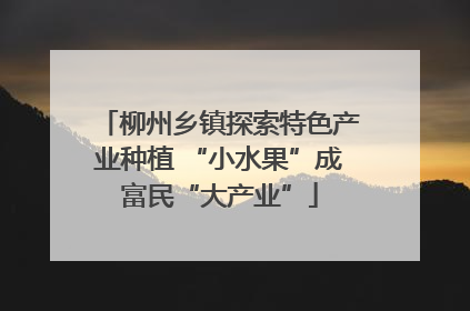 柳州乡镇探索特色产业种植 “小水果”成富民“大产业”