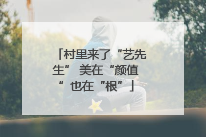 村里来了“艺先生” 美在“颜值”也在“根”