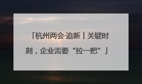 杭州两会·追新丨关键时刻，企业需要“拉一把”