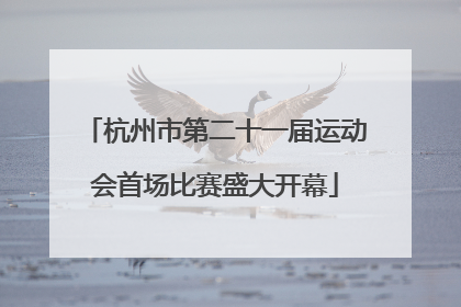 杭州市第二十一届运动会首场比赛盛大开幕