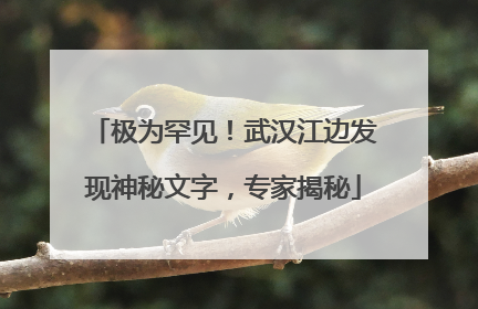 极为罕见！武汉江边发现神秘文字，专家揭秘