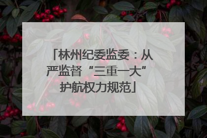 林州纪委监委：从严监督“三重一大” 护航权力规范