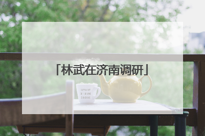 林武在济南调研
