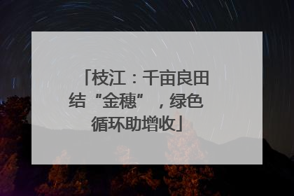枝江：千亩良田结“金穗”，绿色循环助增收