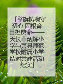擎旗铸魂守初心 固根育苗担使命——天长市炳辉小学与萧县师范学校附属小学结对共建活动纪实