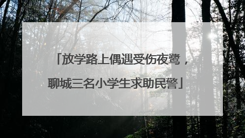 放学路上偶遇受伤夜鹭，聊城三名小学生求助民警