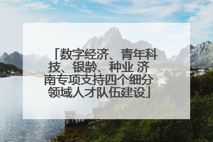 数字经济、青年科技、银龄、种业 济南专项支持四个细分领域人才队伍建设