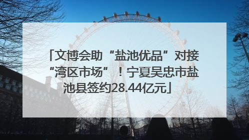 文博会助“盐池优品”对接“湾区市场”！宁夏吴忠市盐池县签约28.44亿元