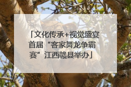 文化传承+视觉盛宴 首届“客家舞龙争霸赛”江西赣县举办